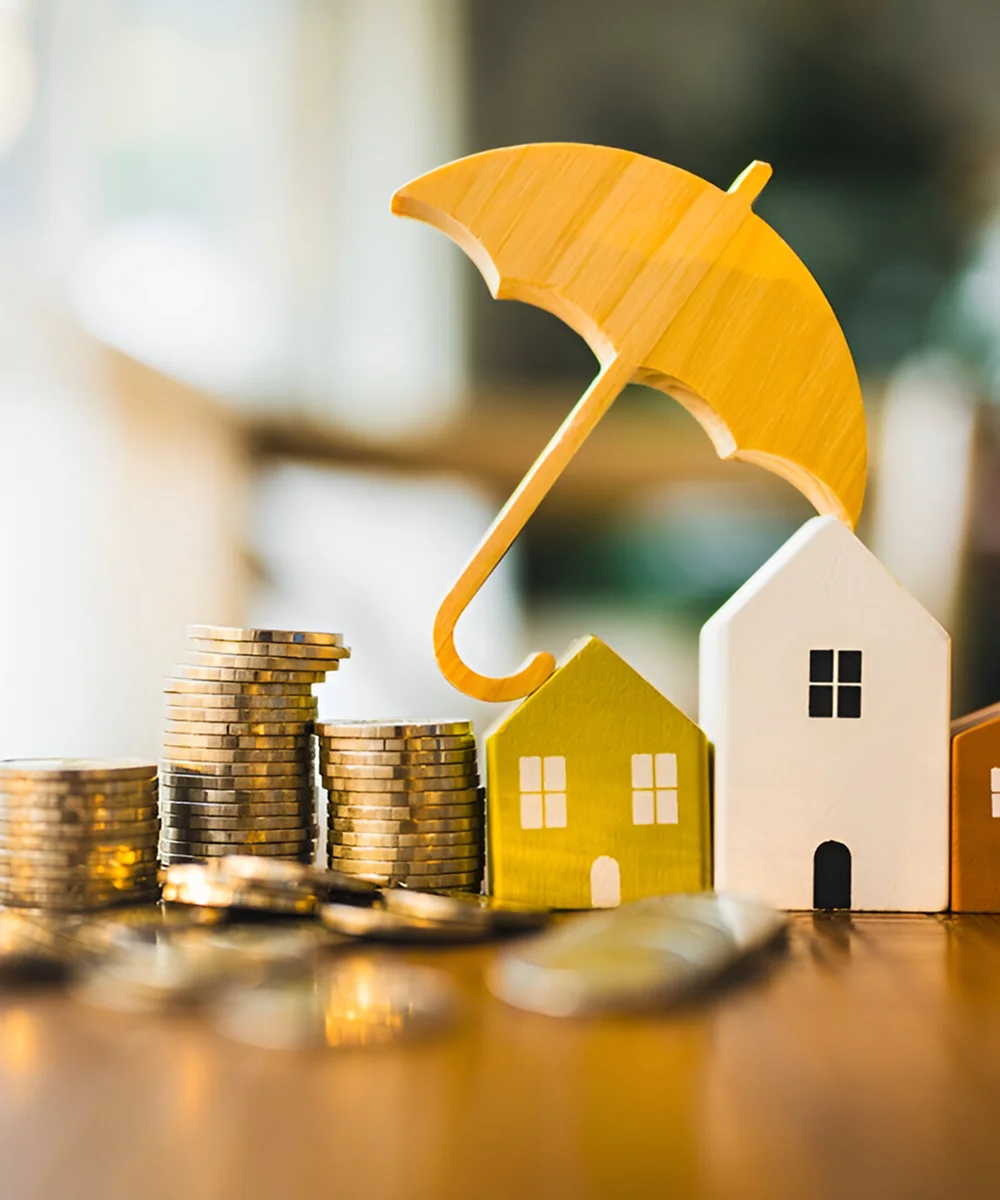 Cap Financimmo Courtier En Pret Immobilier Bordeaux Assurance De Pret